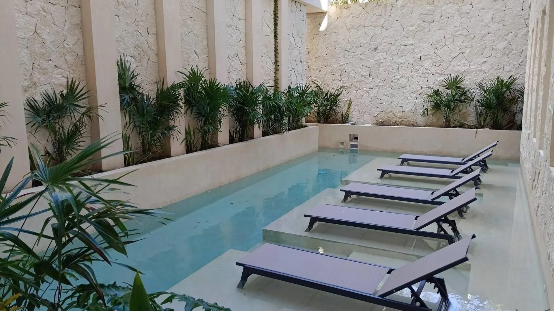 Private Pool - 1 Bedroom Condo - 2 To 4 People Tulum 0*,  Messico