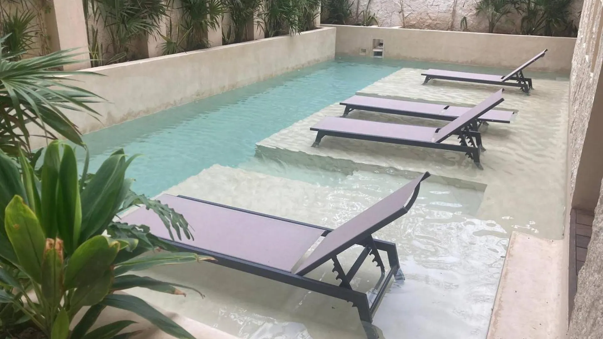 Apartmán Private Pool - 1 Bedroom Condo - 2 To 4 People Tulum